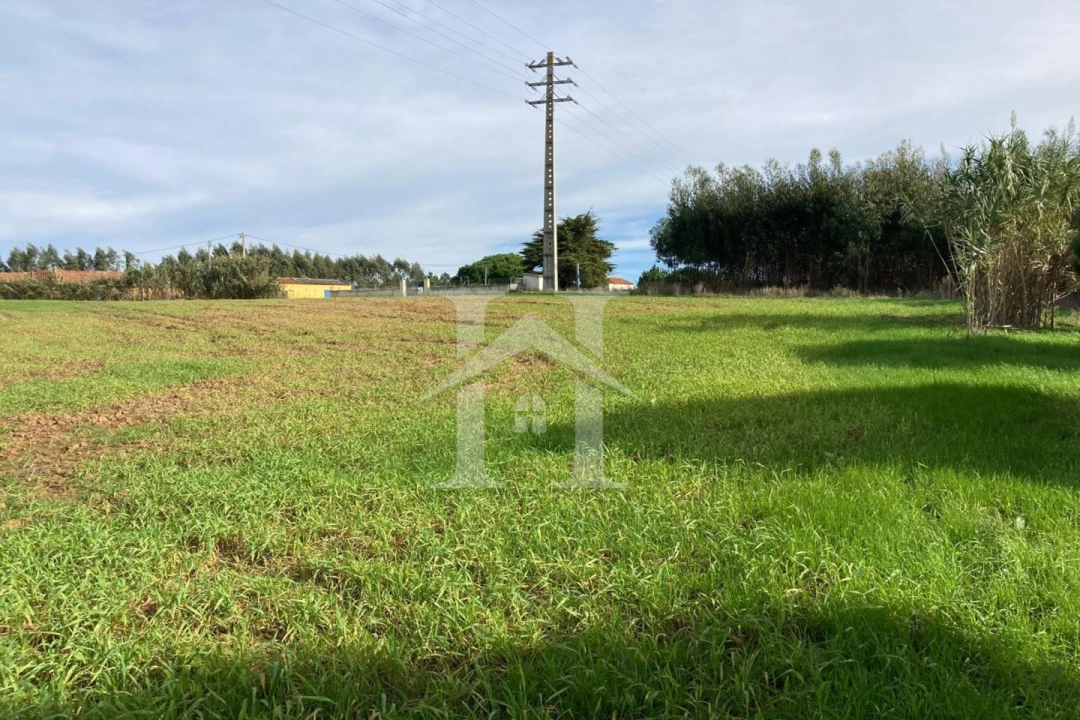 Terreno para Venda em São Bartolomeu dos Galegos e Moledo Foto 6