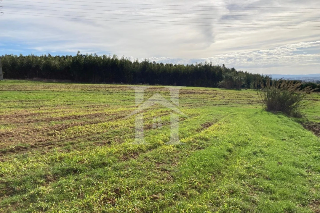 Terreno para Venda em São Bartolomeu dos Galegos e Moledo Foto 16