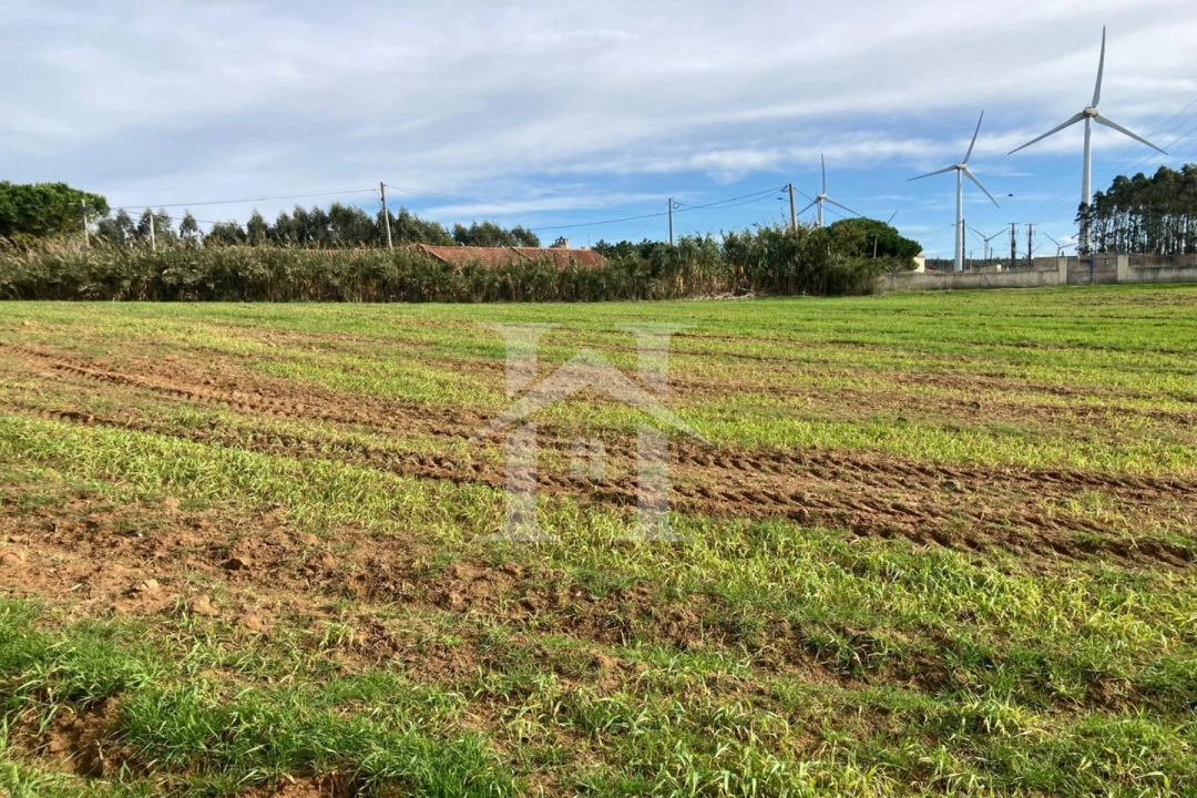 Terreno para Venda em São Bartolomeu dos Galegos e Moledo Foto 9