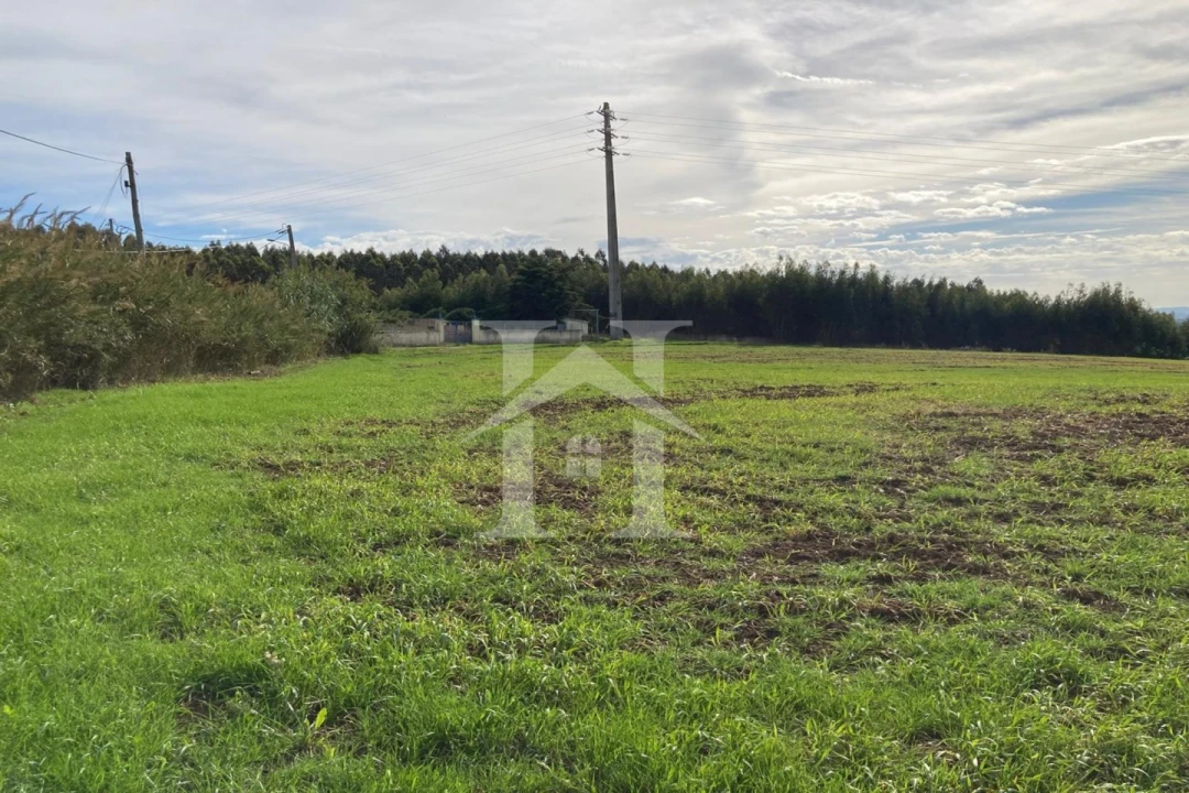 Terreno para Venda em São Bartolomeu dos Galegos e Moledo Foto 2