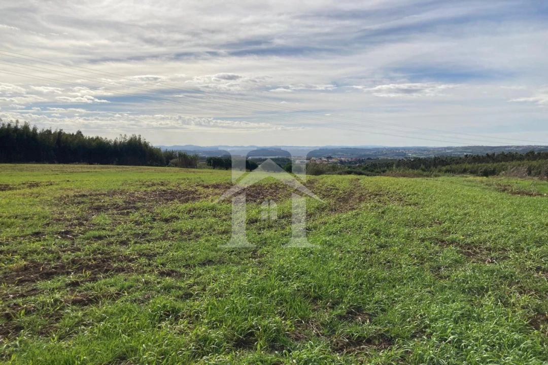 Terreno para Venda em São Bartolomeu dos Galegos e Moledo Foto 19