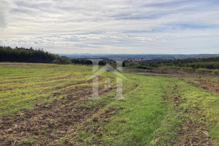 Terreno para Venda em São Bartolomeu dos Galegos e Moledo Foto 4
