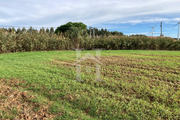 Terreno para Venda em São Bartolomeu dos Galegos e Moledo Foto 5