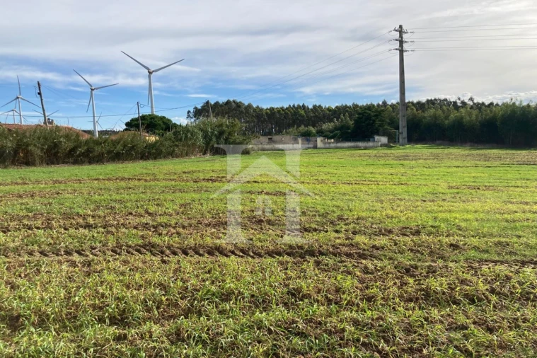 Terreno para Venda em São Bartolomeu dos Galegos e Moledo Foto 10