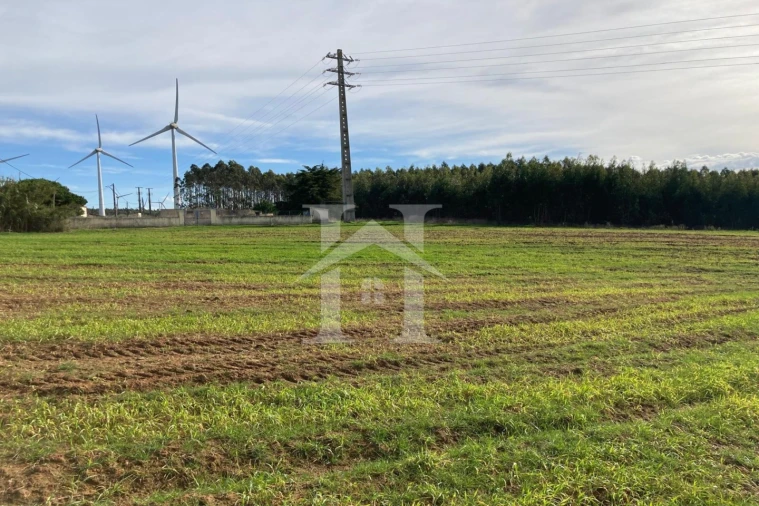 Terreno para Venda em São Bartolomeu dos Galegos e Moledo Foto 7