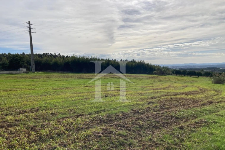 Terreno para Venda em São Bartolomeu dos Galegos e Moledo Foto 11