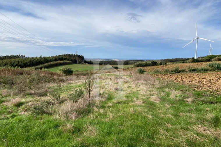 Terreno para Venda em São Bartolomeu dos Galegos e Moledo Foto 12