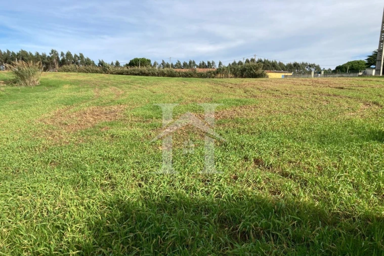 Terreno para Venda em São Bartolomeu dos Galegos e Moledo Foto 8