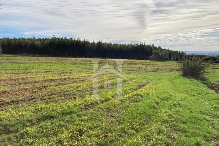Terreno para Venda em São Bartolomeu dos Galegos e Moledo Foto 16