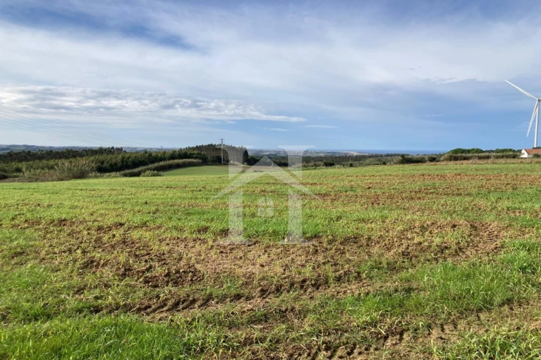 Terreno para Venda em São Bartolomeu dos Galegos e Moledo Foto 2