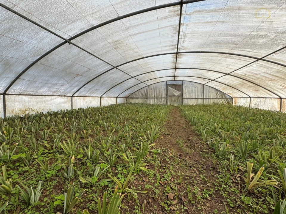 Prédio para Venda em Fajã de Baixo Foto 2