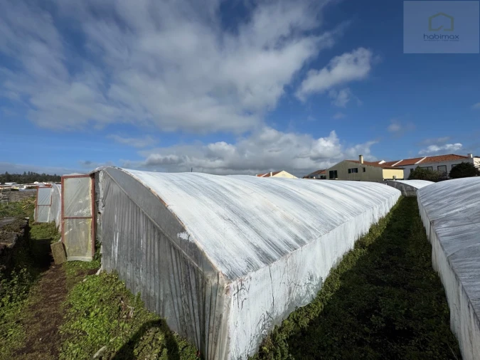 Prédio para Venda em Fajã de Baixo Foto 15