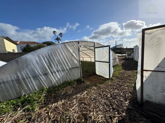 Prédio para Venda em Fajã de Baixo Foto 16