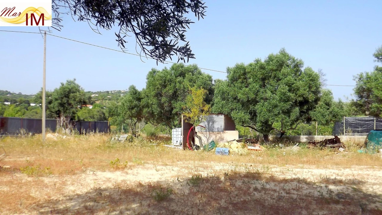 Terreno Agricola ou Rústico para Venda em São Miguel do Pinheiro, São Pedro de Solis, São Sebastião dos Carros Foto 11