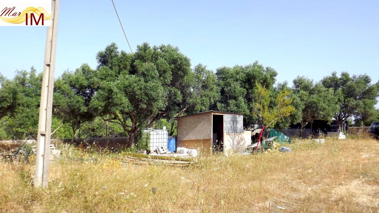 Terreno Agricola ou Rústico para Venda em São Miguel do Pinheiro, São Pedro de Solis, São Sebastião dos Carros Foto 16