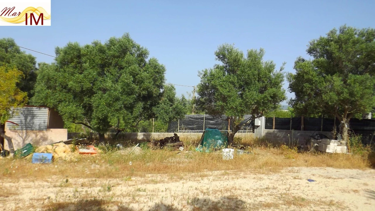 Terreno Agricola ou Rústico para Venda em São Miguel do Pinheiro, São Pedro de Solis, São Sebastião dos Carros Foto 19