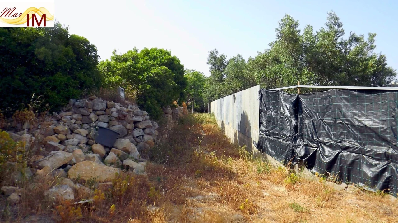 Terreno Agricola ou Rústico para Venda em São Miguel do Pinheiro, São Pedro de Solis, São Sebastião dos Carros Foto 4