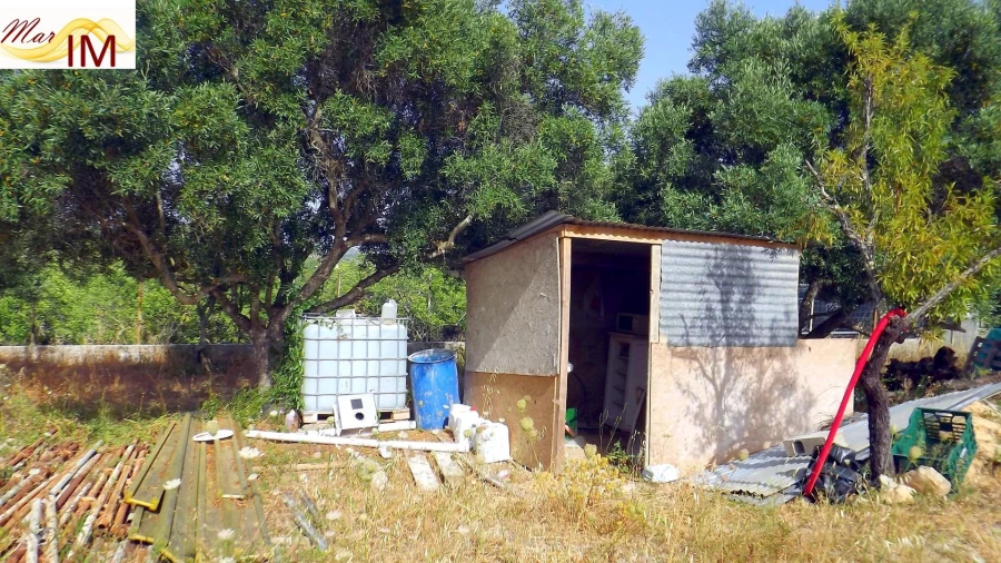 Terreno Agricola ou Rústico para Venda em São Miguel do Pinheiro, São Pedro de Solis, São Sebastião dos Carros Foto 14