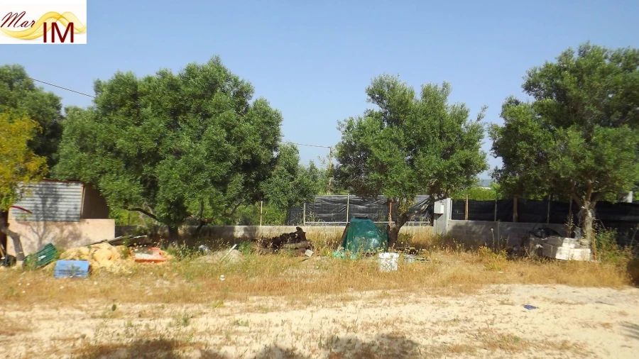 Terreno Agricola ou Rústico para Venda em São Miguel do Pinheiro, São Pedro de Solis, São Sebastião dos Carros Foto 19