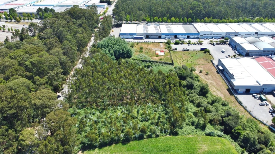 Terreno para Venda em Moreira Foto 4