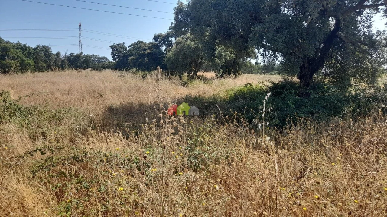 Terreno para Venda em Quinta do Anjo Foto 3