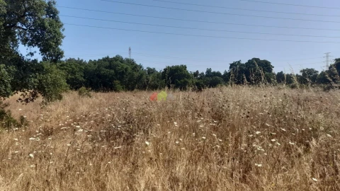 Terreno para Venda em Quinta do Anjo