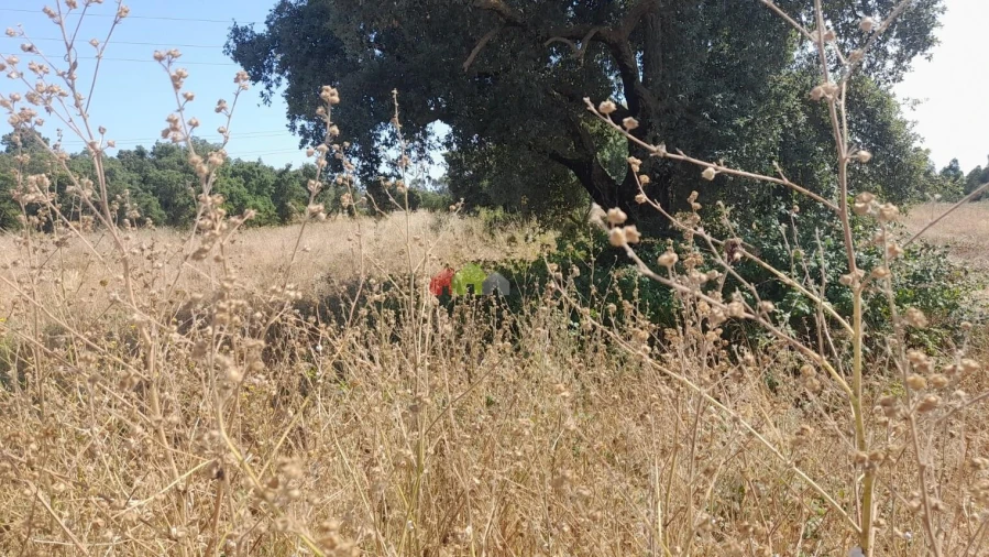 Terreno para Venda em Quinta do Anjo Foto 2