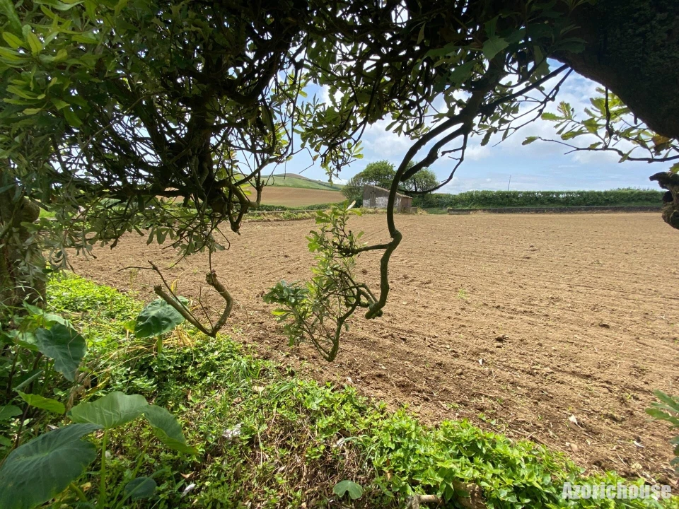 Terreno para Venda em Lagoa (Santa Cruz) Foto 8