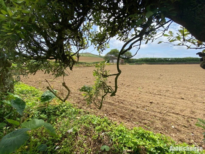 Terreno para Venda em Lagoa (Santa Cruz) Foto 8