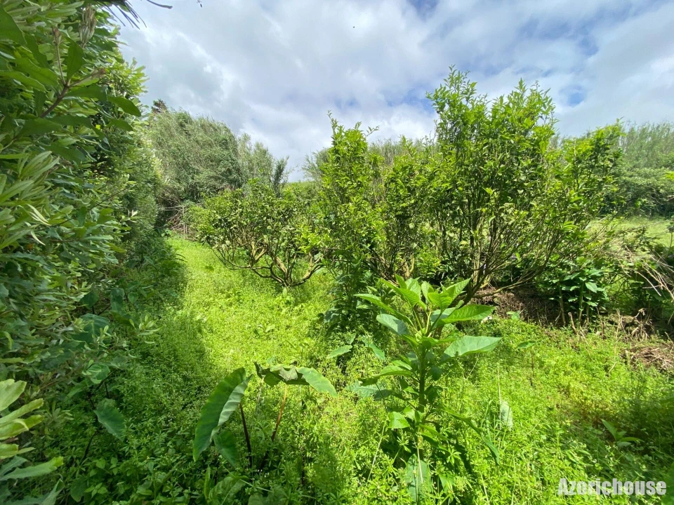 Terreno para Venda em Lagoa (Santa Cruz) Foto 10