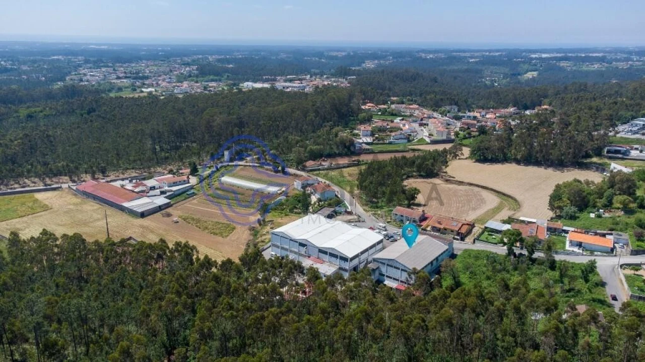 Armazém para Venda em Ovar, São João, Arada e São Vicente de Pereira Jusã Foto 52