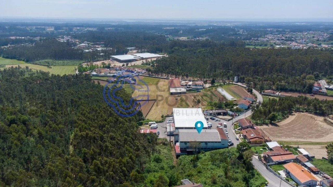 Armazém para Venda em Ovar, São João, Arada e São Vicente de Pereira Jusã Foto 51