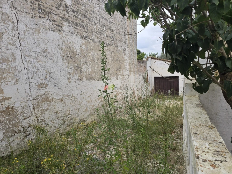 Prédio para Venda em Avis Foto 19