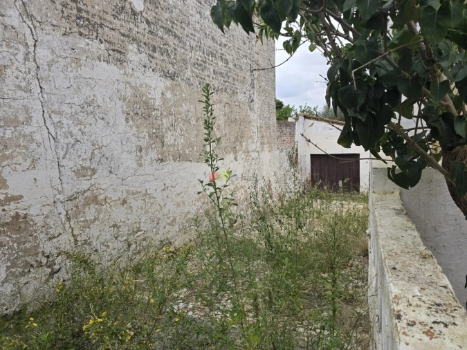 Prédio para Venda em Avis Foto 19