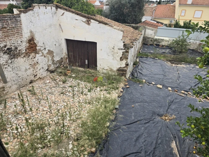 Prédio para Venda em Avis Foto 20