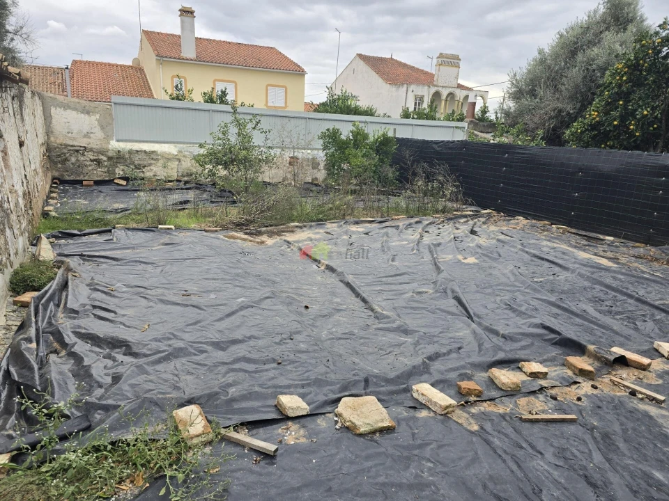 Prédio para Venda em Avis Foto 14