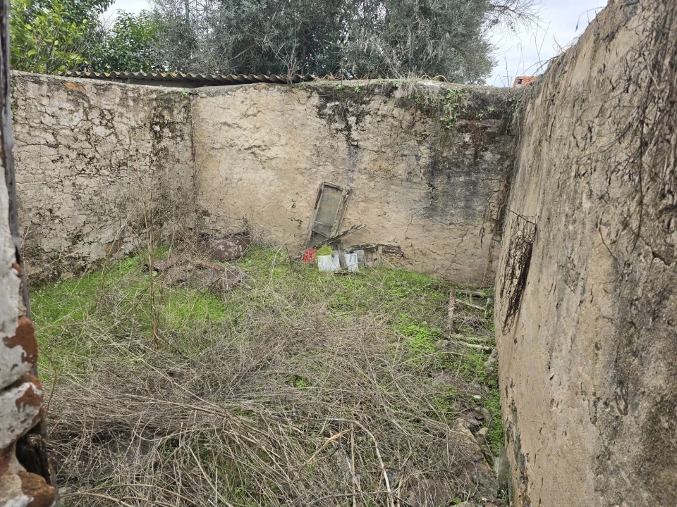 Prédio para Venda em Avis Foto 18