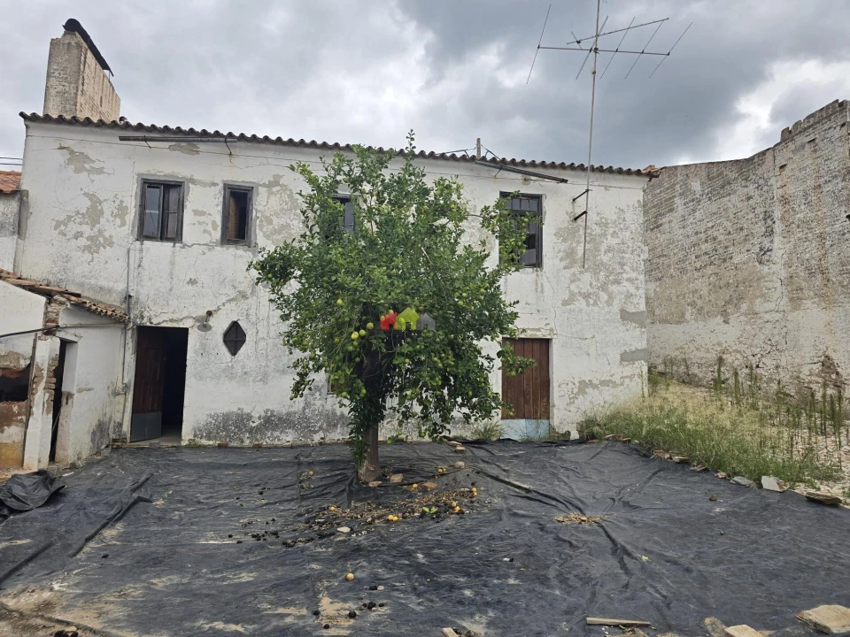 Prédio para Venda em Avis Foto 1