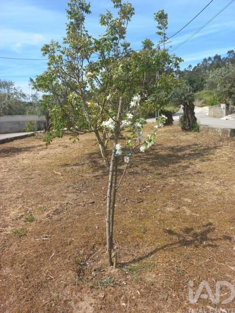 Terreno para Venda em Arrabal