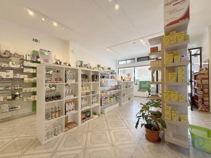 Loja para Venda em Mira Foto 5