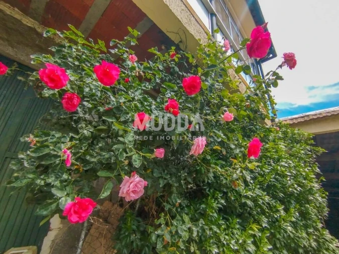 Moradia T4 para Venda em Aguas Frias Foto 7