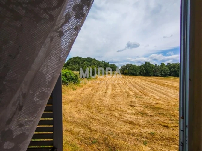 Moradia T4 para Venda em Aguas Frias Foto 30