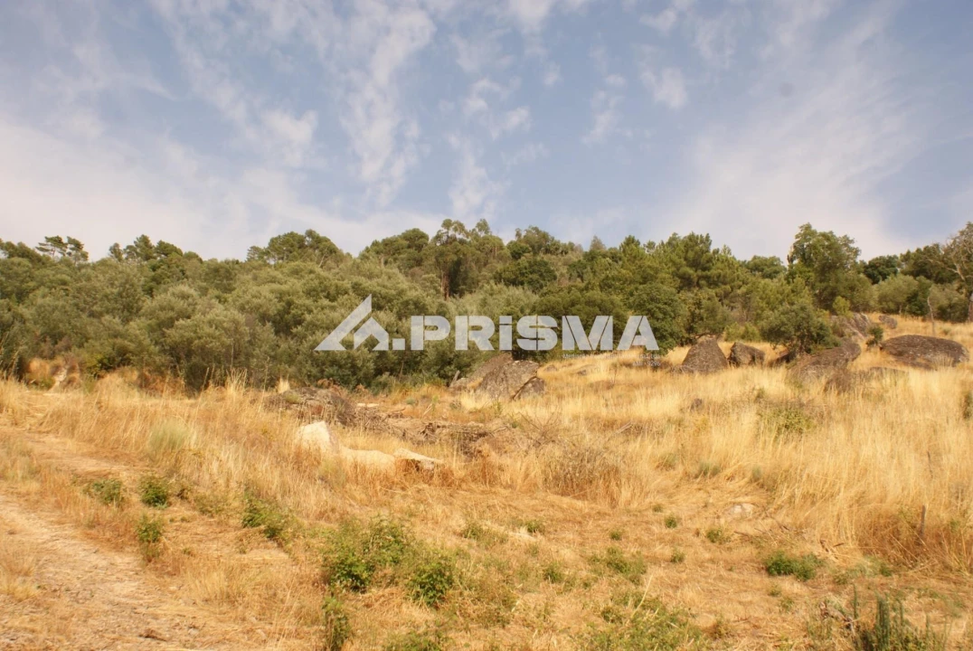 Quinta para Venda em Pero Viseu Foto 53