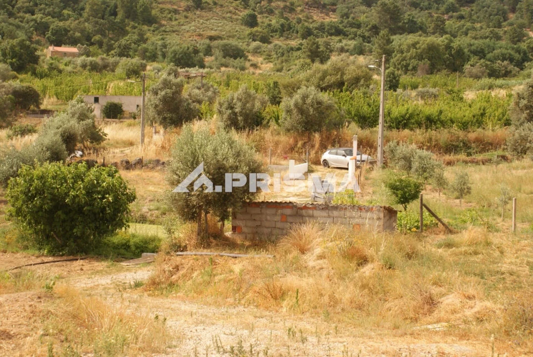 Quinta para Venda em Pero Viseu Foto 16