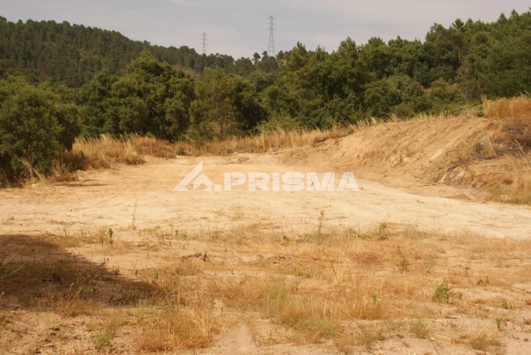 Quinta para Venda em Pero Viseu Foto 19