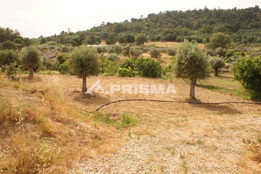 Quinta para Venda em Pero Viseu Foto 31