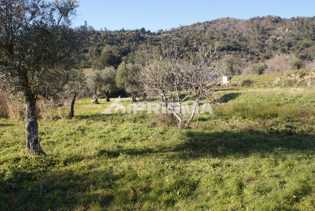 Quinta para Venda em Pero Viseu Foto 9