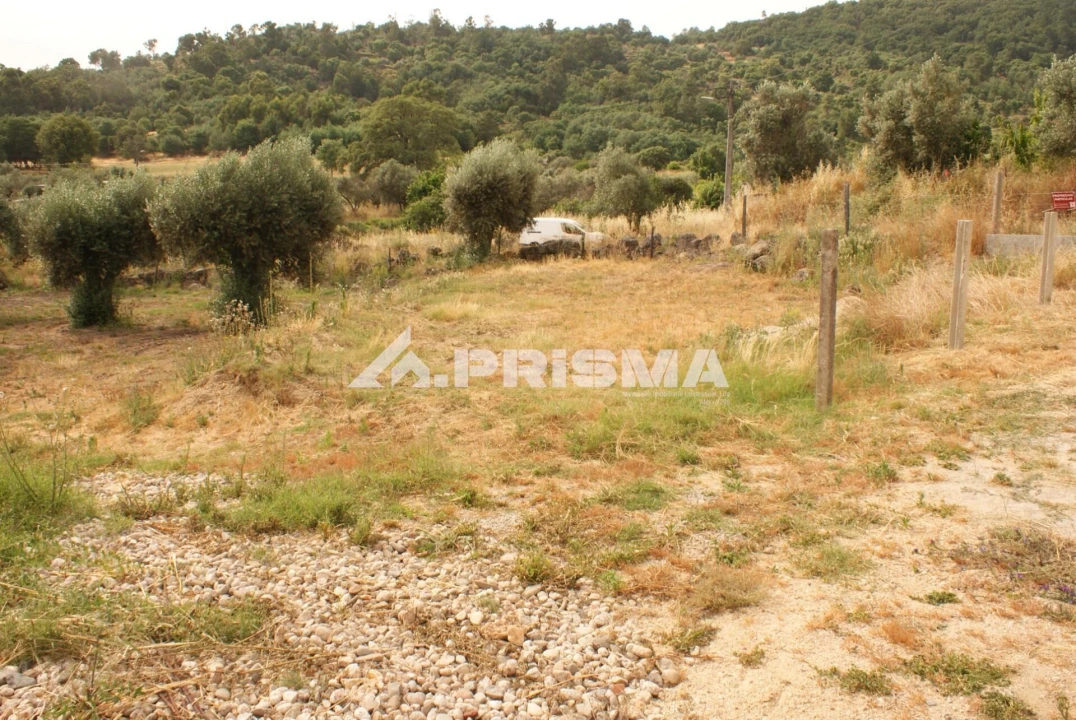 Quinta para Venda em Pero Viseu Foto 34