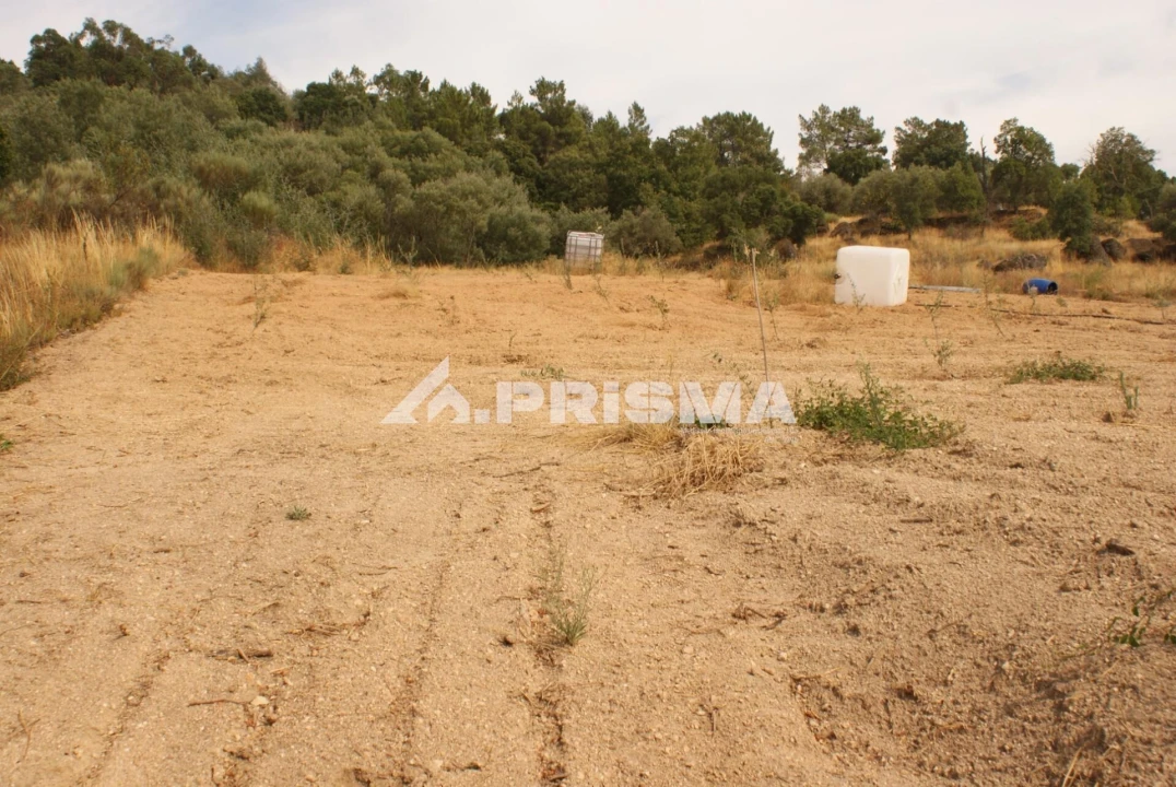 Quinta para Venda em Pero Viseu Foto 48