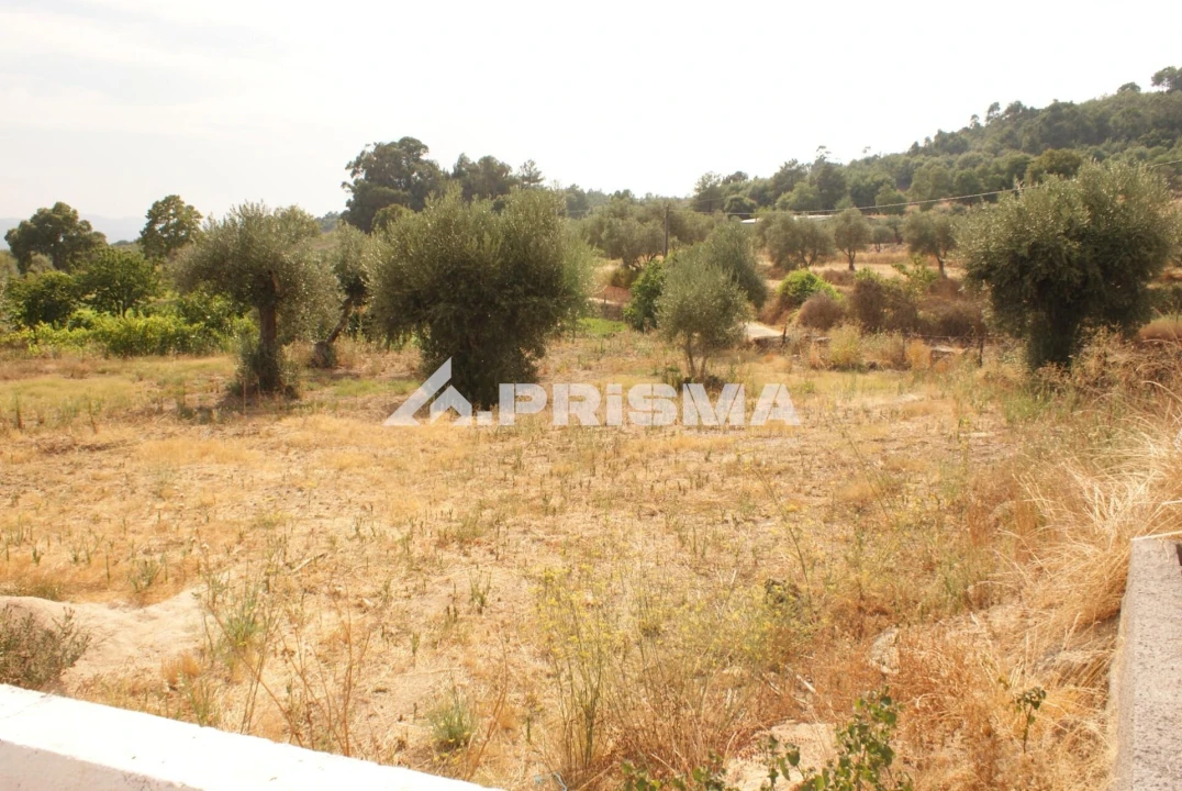 Quinta para Venda em Pero Viseu Foto 36